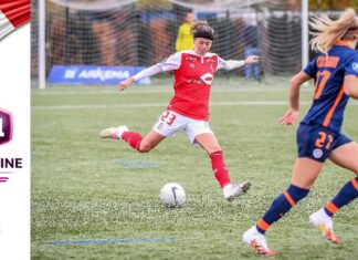 D1 Francia, il punto del campionato, seconda parte: ancora apertissima la lotta per la salvezza