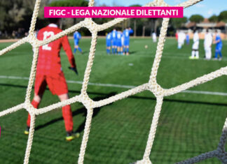 Vincolo sportivo e rapporti di lavoro. Audizione alla Camera dei Deputati per la Lega Nazionale Dilettanti