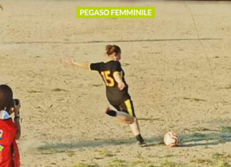 Imma Tenore, Pegaso: “Siamo un team giovane ed il campionato passato ci ha insegnato molto” pegaso-femminile-immacolata-tenore