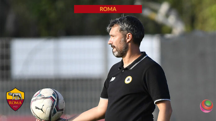 roma-spugna