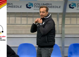 Il TSG Hoffenheim ha sconfitto per la prima volta il Wolfsburg