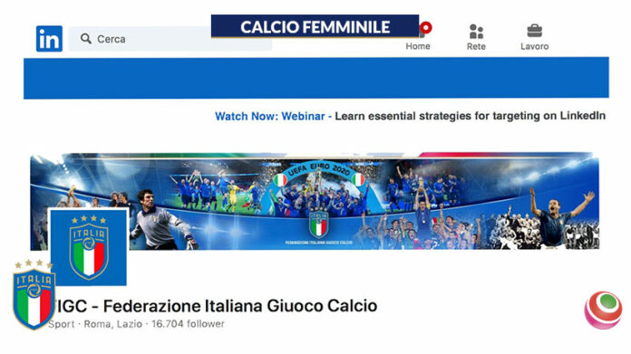 figc-linlkedin