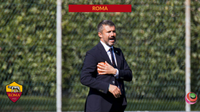 roma-spugna