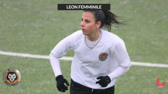 leon-femminile-erica-ostini