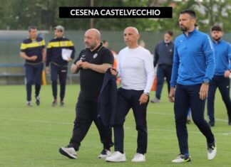 Massimo Ardito, collaboratore Cesena Femminile: “A Cesena è in atto un serio progetto di crescita: vogliamo dare alla città ciò che merita”