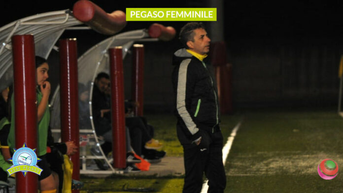 pegaso-femminile-michel-dorini