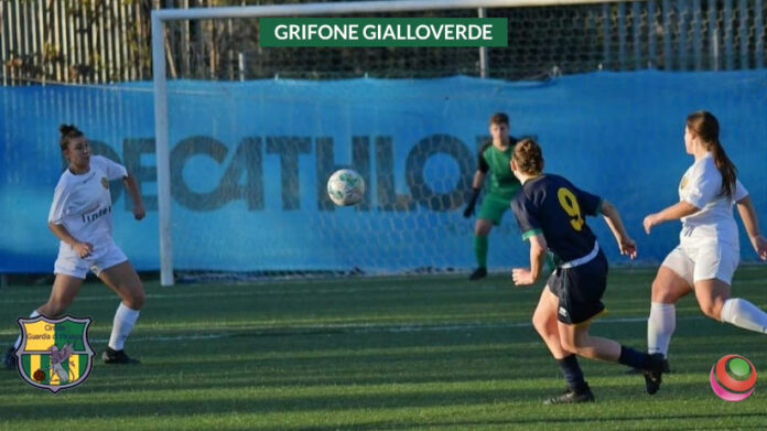 grifone-gialloverde-cecilia-conti