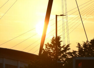 Mondiale 2023: la guida ai quattro stadi in Nuova Zelanda