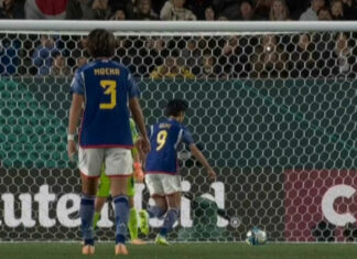 Il Giappone (un po’ sfortunato) esce a testa alta – Statistiche e considerazioni