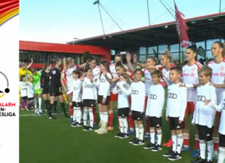 Il Bayern Monaco supera il Wolfsburg e si porta in testa, male il TSG che resta terzo