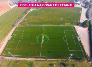 A Faenza primo campo attestato LND con intaso vegetale di pigne