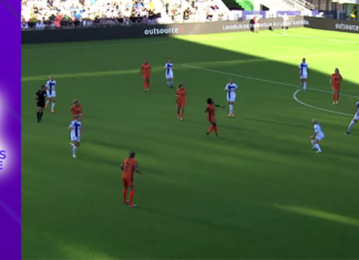 Paesi Bassi: quattro punti tra l’addio di Martens e il ritorno di van Domselaar