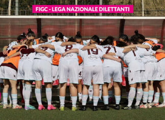 Approvata la proposta della LND per affidare la direzione di gara di amichevoli e tornei ai Dirigenti-Arbitri