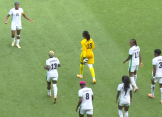Giappone-Nigeria 3-1: Falcons eliminate senza aver mai vinto