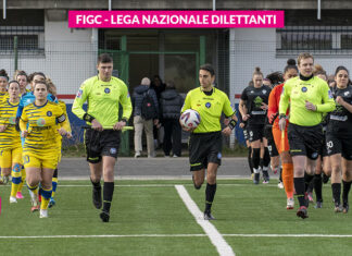 Serie C 2024/2025, ufficializzati i gironi della nuova stagione