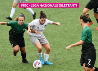 Serie C: i verdetti finali dei tre gironi del torneo nazionale
