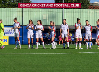 Cessione della maggioranza delle quote del Genoa all’imprenditore Dan Șucu