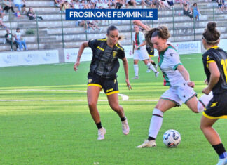 Frosinone, che grinta! Hellas Verona KO, Nardi evita il pareggio con una magia
